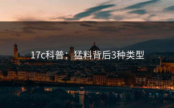 17c科普：猛料背后3种类型