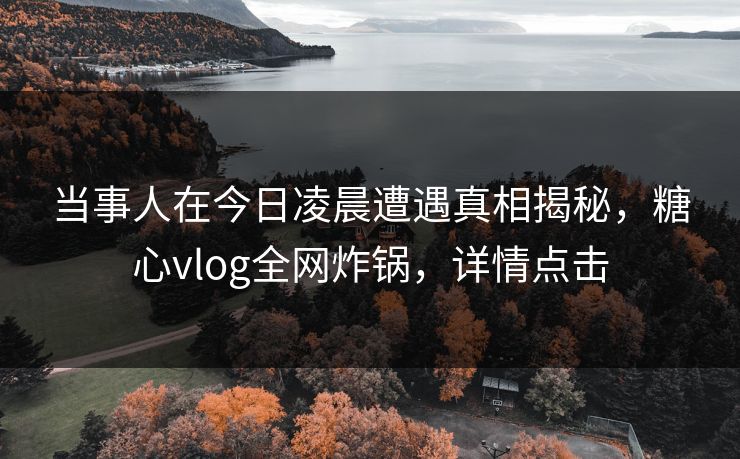 当事人在今日凌晨遭遇真相揭秘，糖心vlog全网炸锅，详情点击