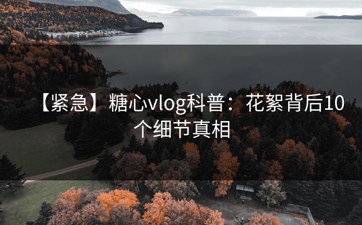 【紧急】糖心vlog科普：花絮背后10个细节真相