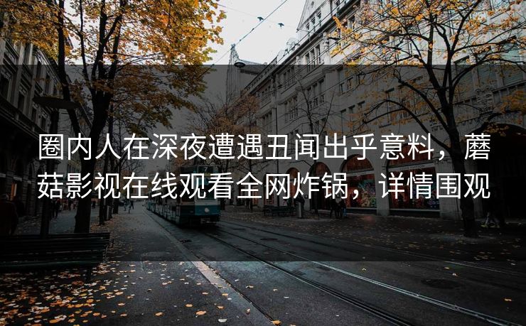 圈内人在深夜遭遇丑闻出乎意料，蘑菇影视在线观看全网炸锅，详情围观