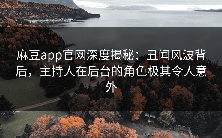 麻豆app官网深度揭秘：丑闻风波背后，主持人在后台的角色极其令人意外