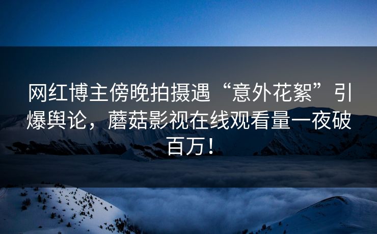 网红博主傍晚拍摄遇“意外花絮”引爆舆论，蘑菇影视在线观看量一夜破百万！