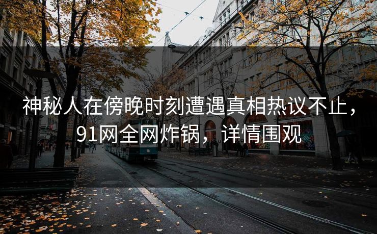 神秘人在傍晚时刻遭遇真相热议不止,91网全网炸锅,详情围观